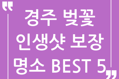 🌸 인생샷 보장! 경주 벚꽃 명소 BEST 5, 올해는 여기 어때?