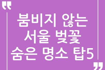붐비는 곳은 이제 그만! 서울 벚꽃 숨은 명소 TOP 5, 인생샷 보장