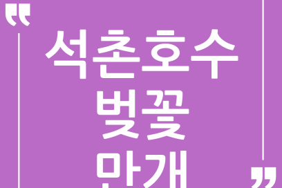 2026년 석촌호수 벚꽃 개화시기 완벽 분석: 인생샷 명당과 방문 꿀팁까지!